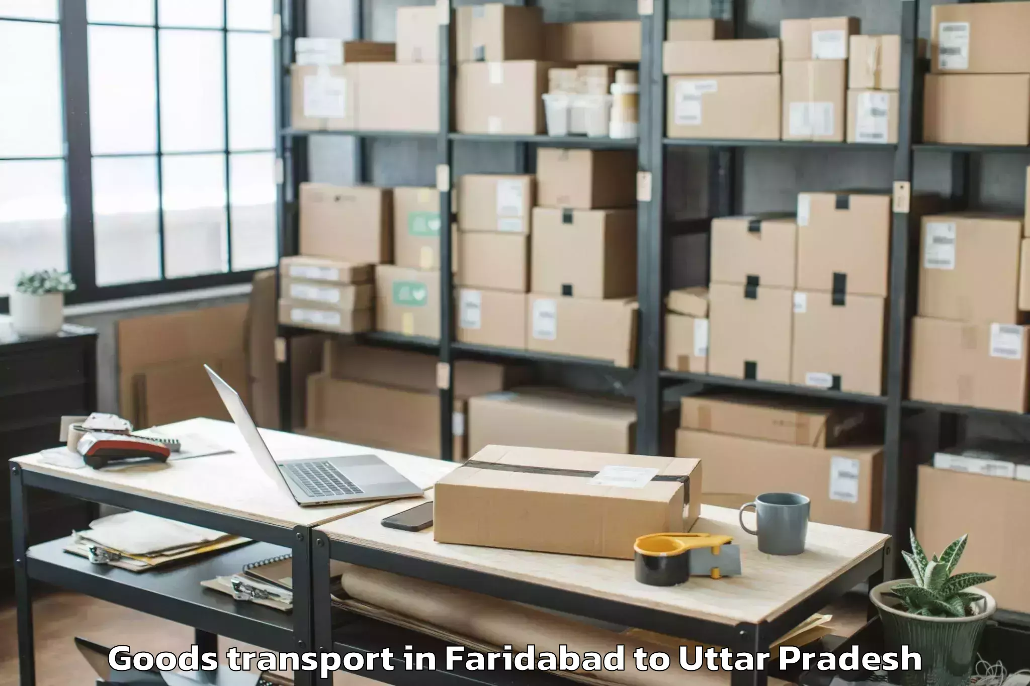 Book Faridabad to Great Mall Of Aligarh Goods Transport